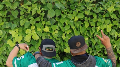 Infinium Baseball League Photo