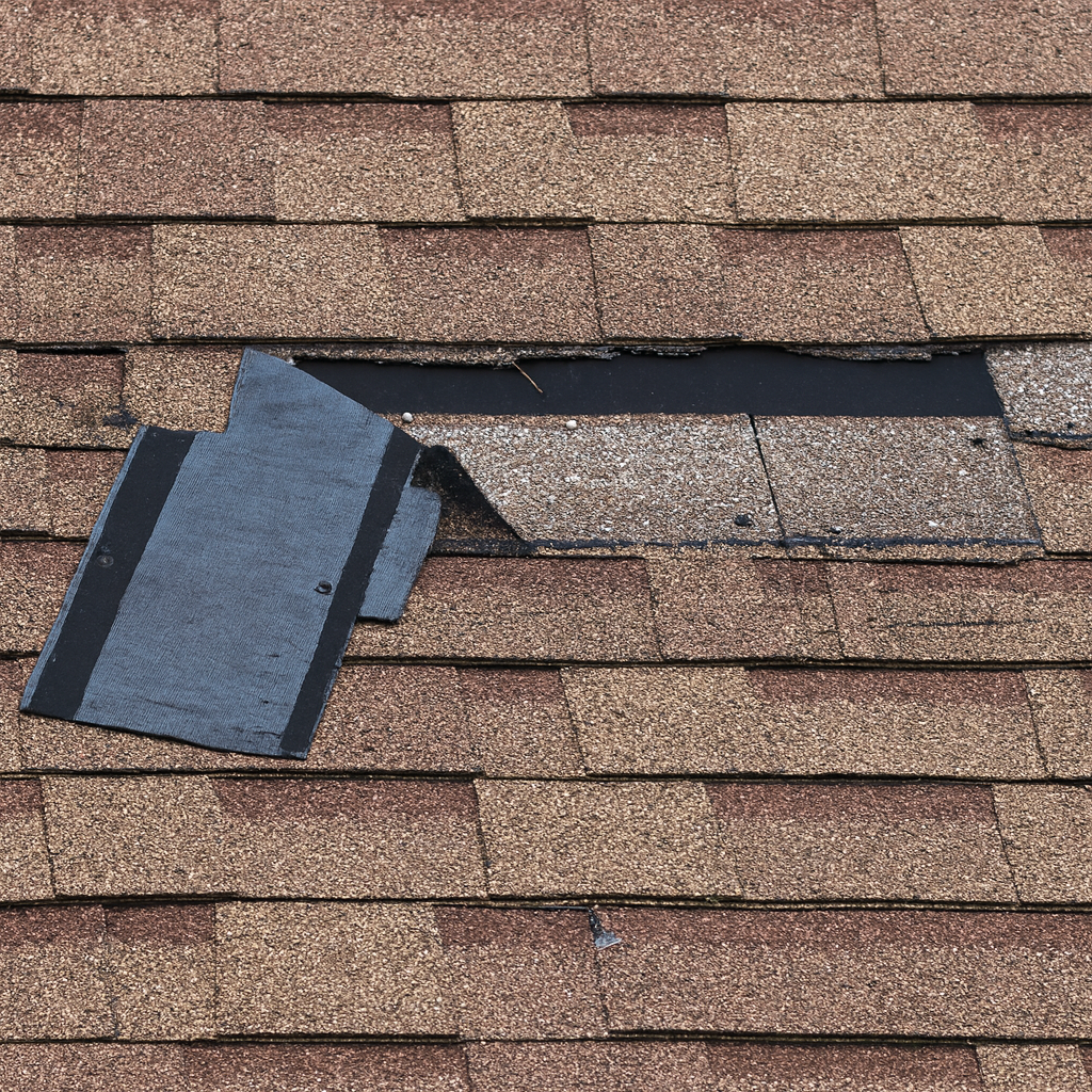 damaged shingles